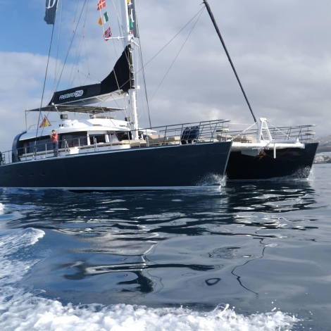 kiara-tours-tenerife-excursion-trip-boat-catamaran-delfines-dolphins-freebird-one