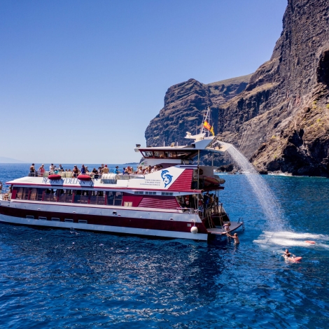 tenerife-excursion-trip-boat-catamaran-delfines-dolphins-royal-delfin-13