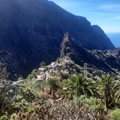 excursion teide masca icod garachico